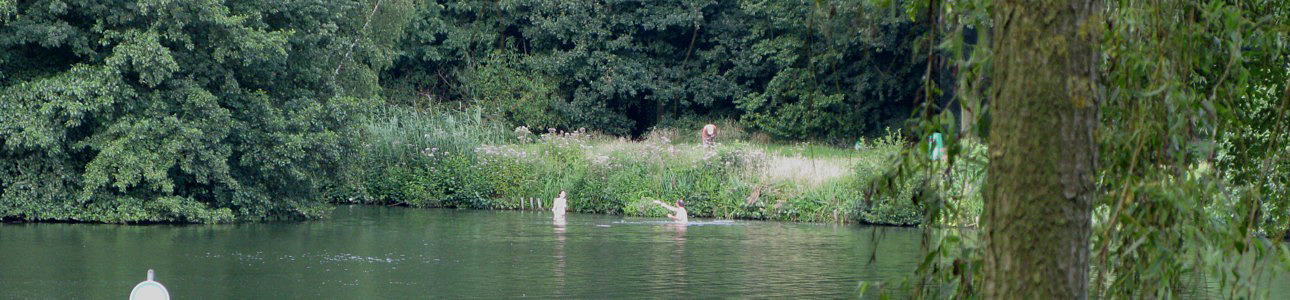 Wylerbergmeer